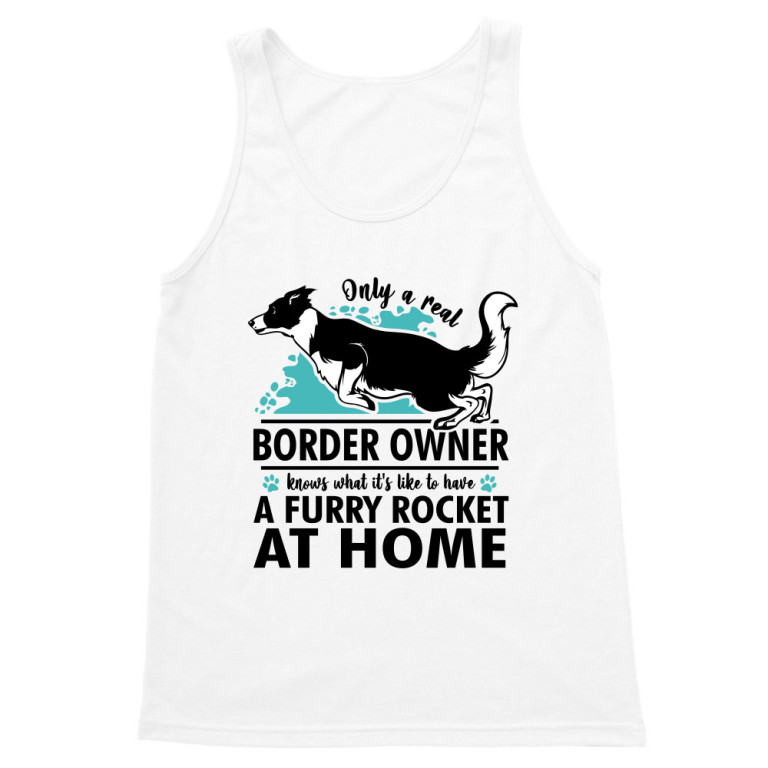 Rocket - border collie