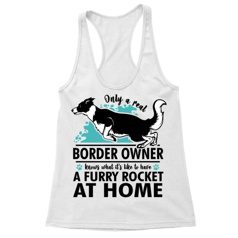 Rocket - border collie