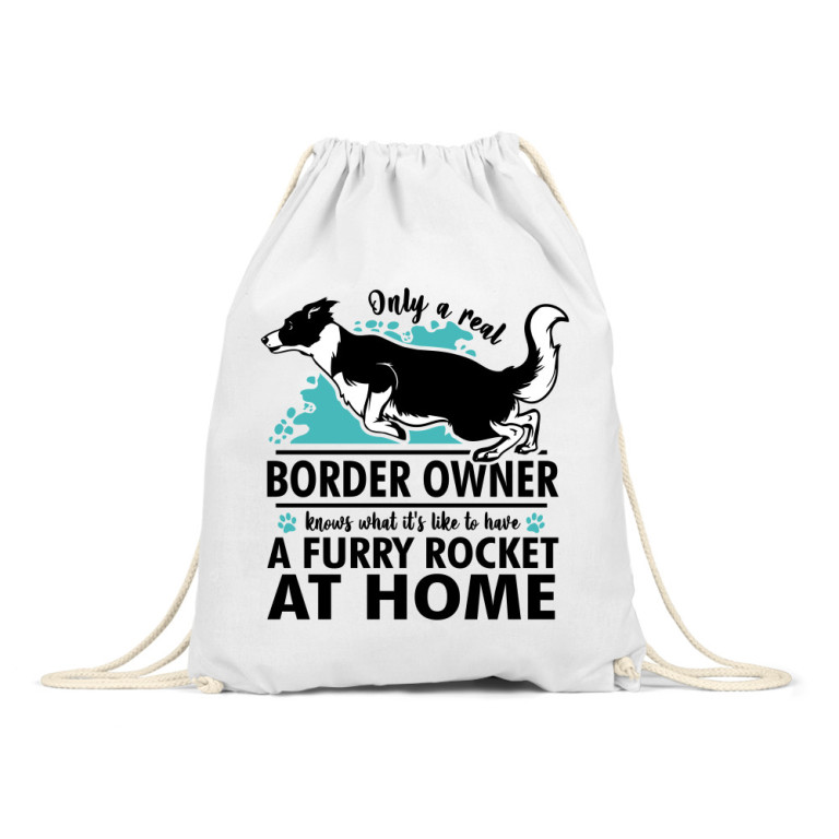 Rocket - border collie