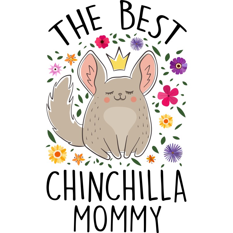 Chinchilla mommy