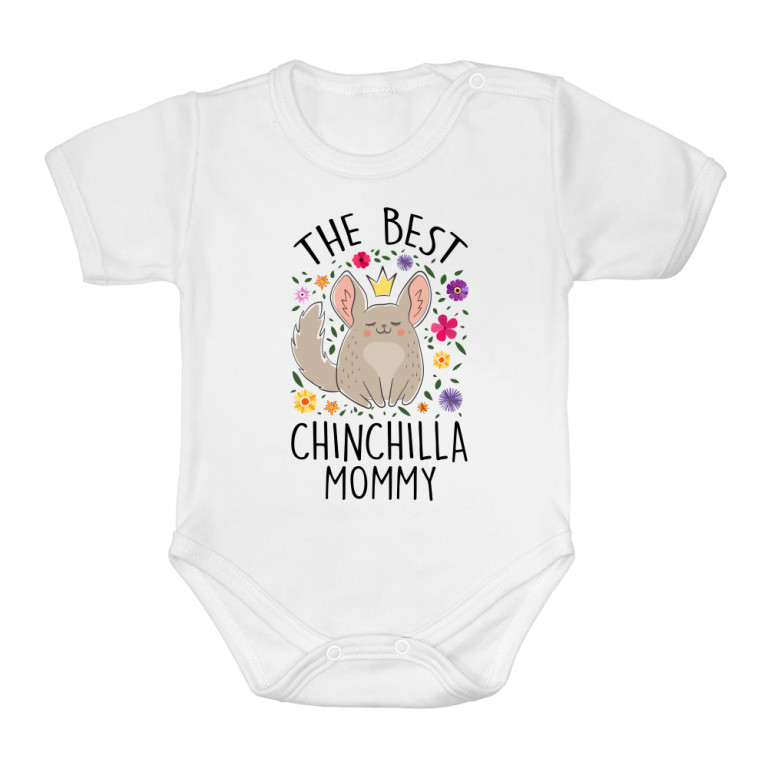 Chinchilla mommy