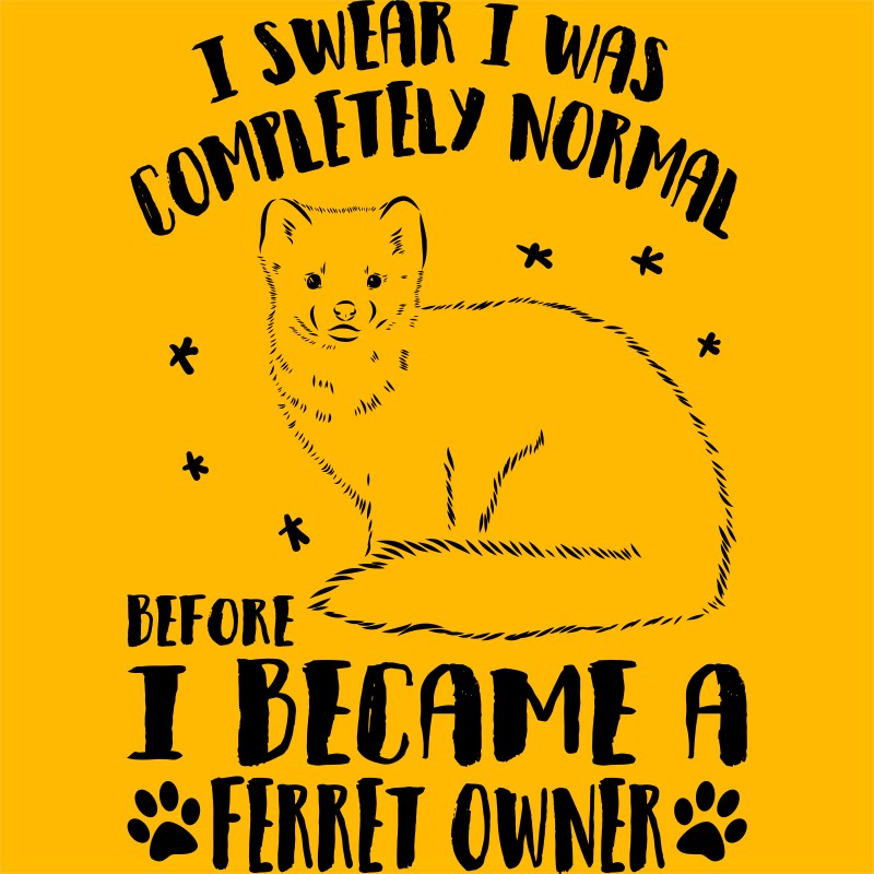 Normal - ferret