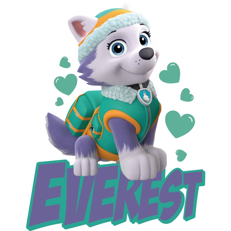 Paw Patrol - Everest