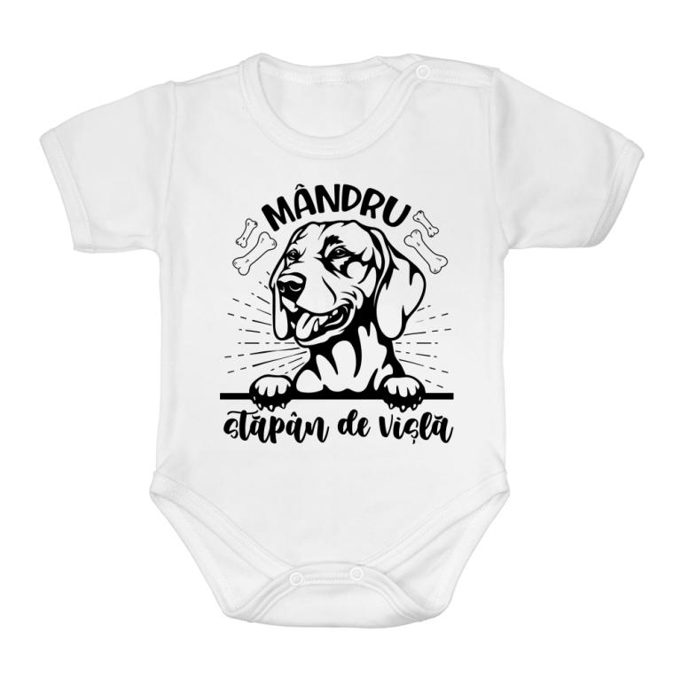 Mândru stăpân de vișlă