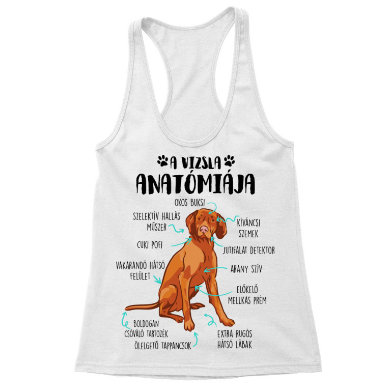 Vizsla anatómia