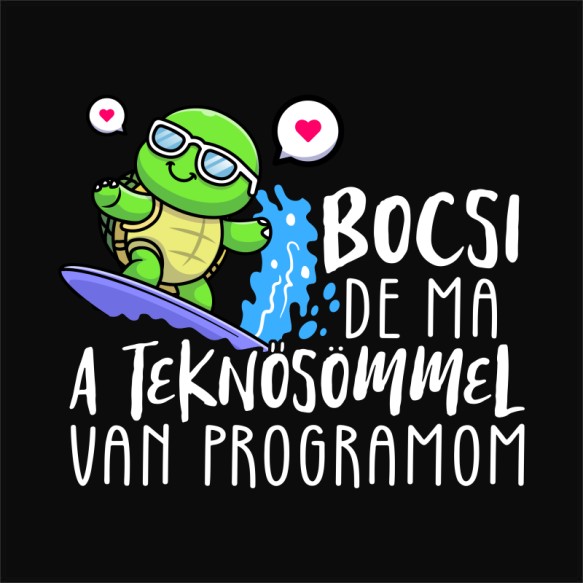Ma a teknősömmel van programom Teknős Pólók, Pulóverek, Bögrék - Teknős