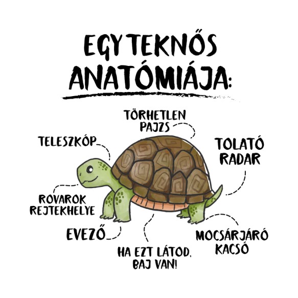 Egy teknős anatómiája Teknős Pólók, Pulóverek, Bögrék - Teknős