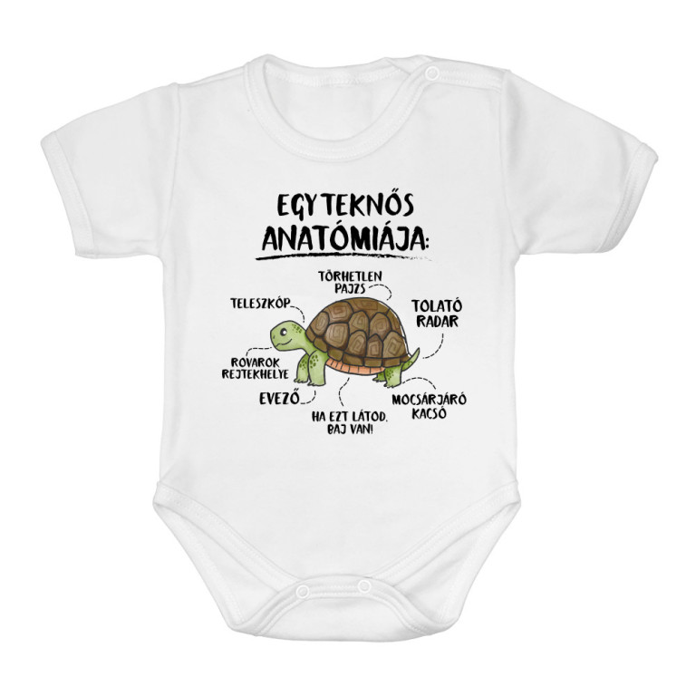 Egy teknős anatómiája