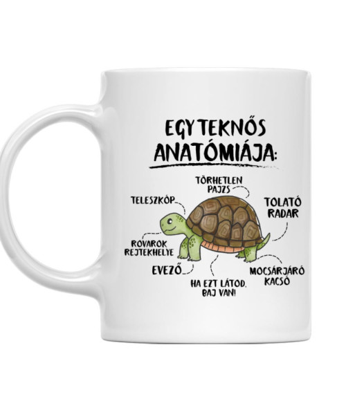 Egy teknős anatómiája Teknős Bögre - Teknős
