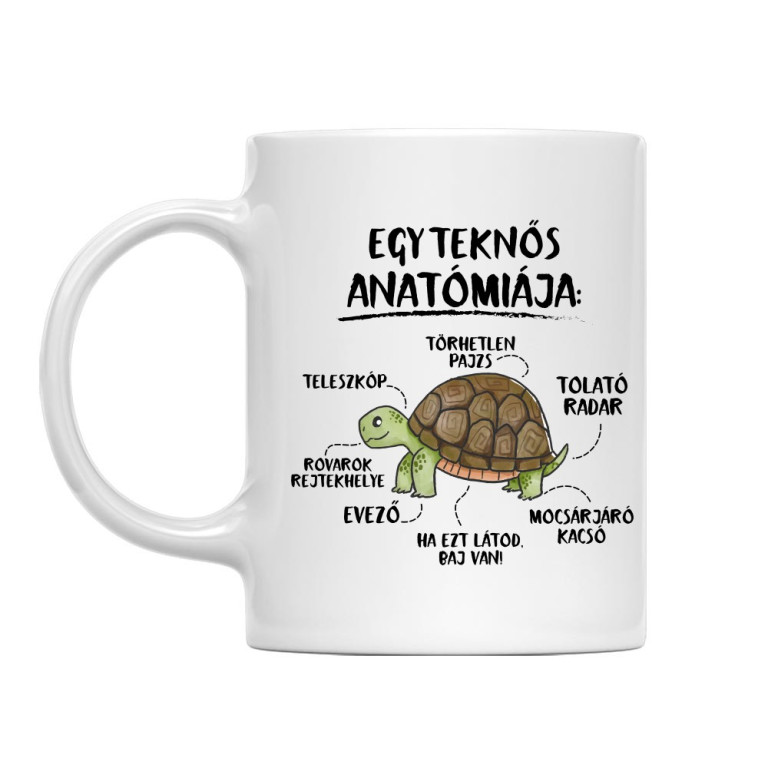 Egy teknős anatómiája