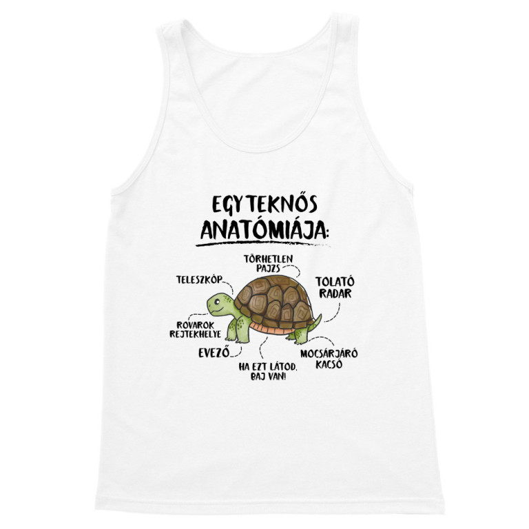 Egy teknős anatómiája