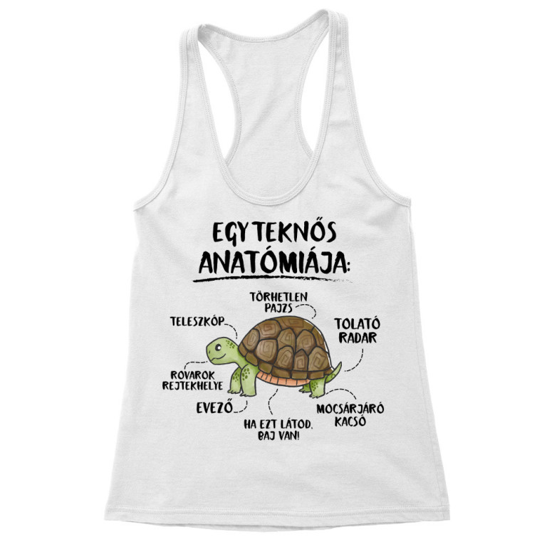 Egy teknős anatómiája