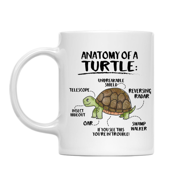 Anatomy of a turtle
