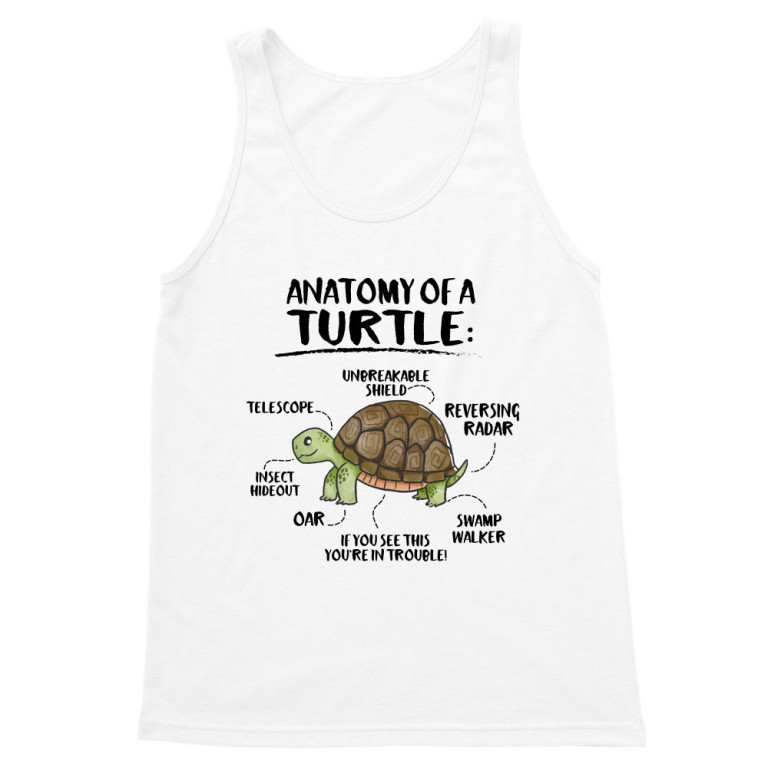 Anatomy of a turtle