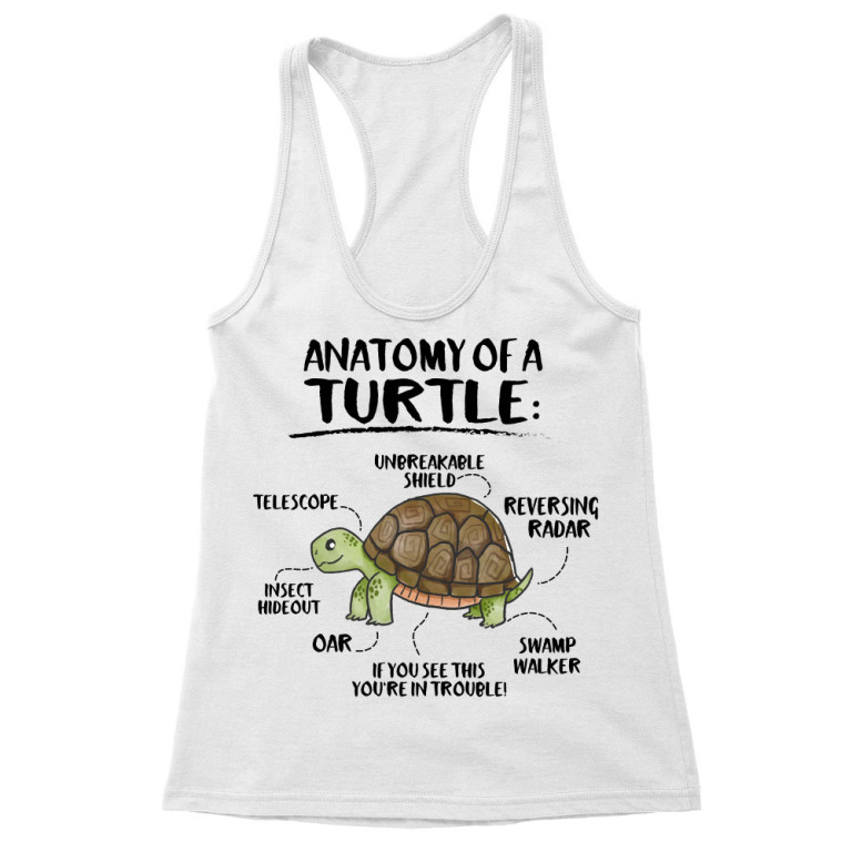 Anatomy of a turtle