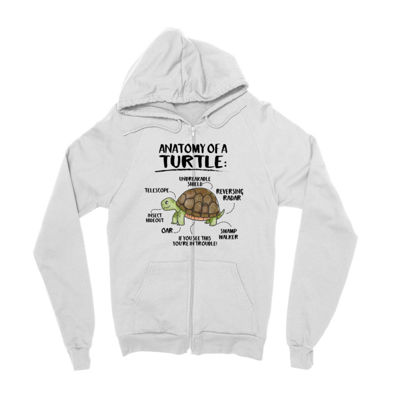 Anatomy of a turtle