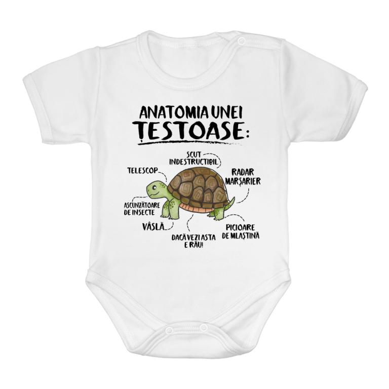 Anatomia unei țestoase - Body bebeluș