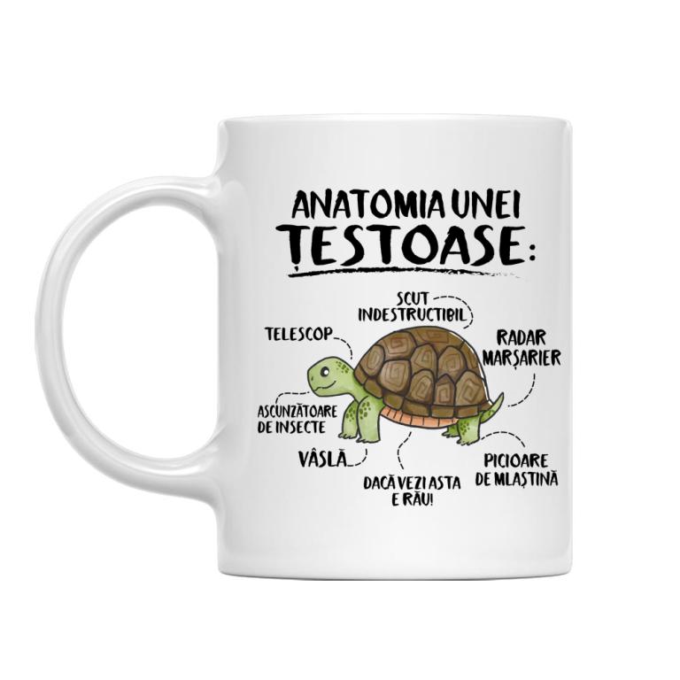 Anatomia unei țestoase - Cană