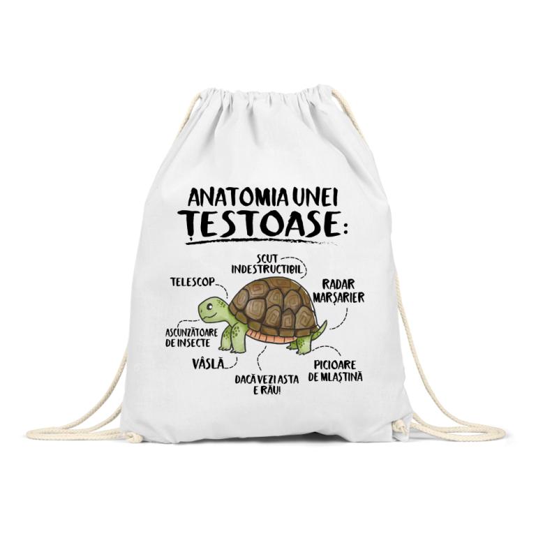 Anatomia unei țestoase - Tornsacks