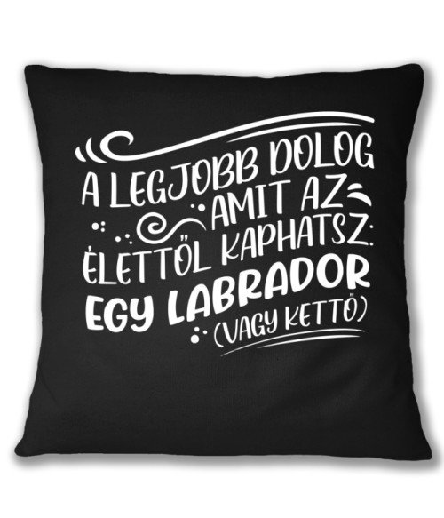 A legjobb dolog, amit kaphatsz - Labrador Labrador Retriever Párnahuzat - Labrador Retriever