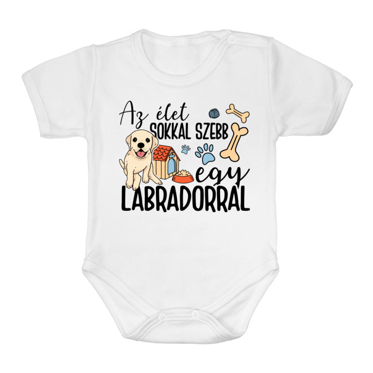 Az élet sokkal szebb egy labradorral