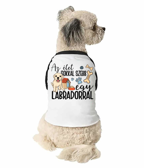 Az élet sokkal szebb egy labradorral Labrador Retriever Állatoknak - Labrador Retriever