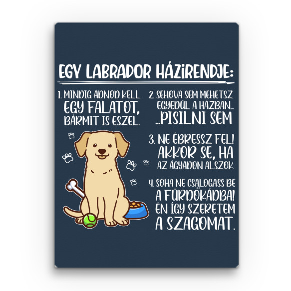 Labrador házirend Labrador Retriever Vászonkép - Labrador Retriever