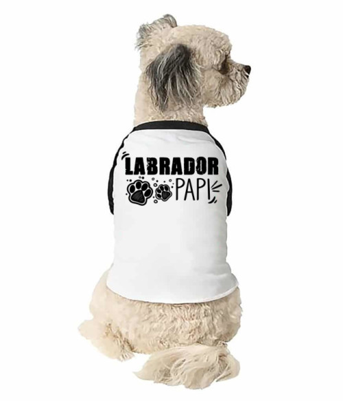 Labrador papi Labrador Retriever Állatoknak - Labrador Retriever