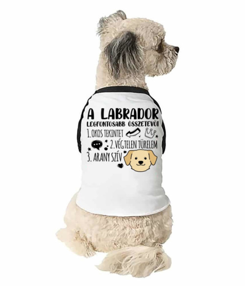 Labrador összetevők Labrador Retriever Állatoknak - Labrador Retriever