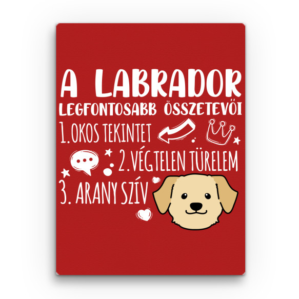 Labrador összetevők Labrador Retriever Vászonkép - Labrador Retriever