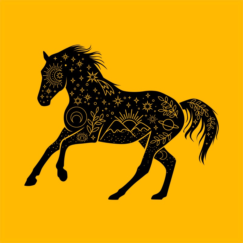 Horse Silhouette - Doodles
