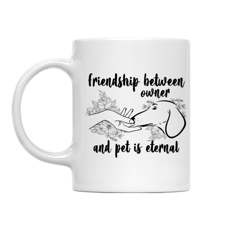 Friendship between owner and dachshund