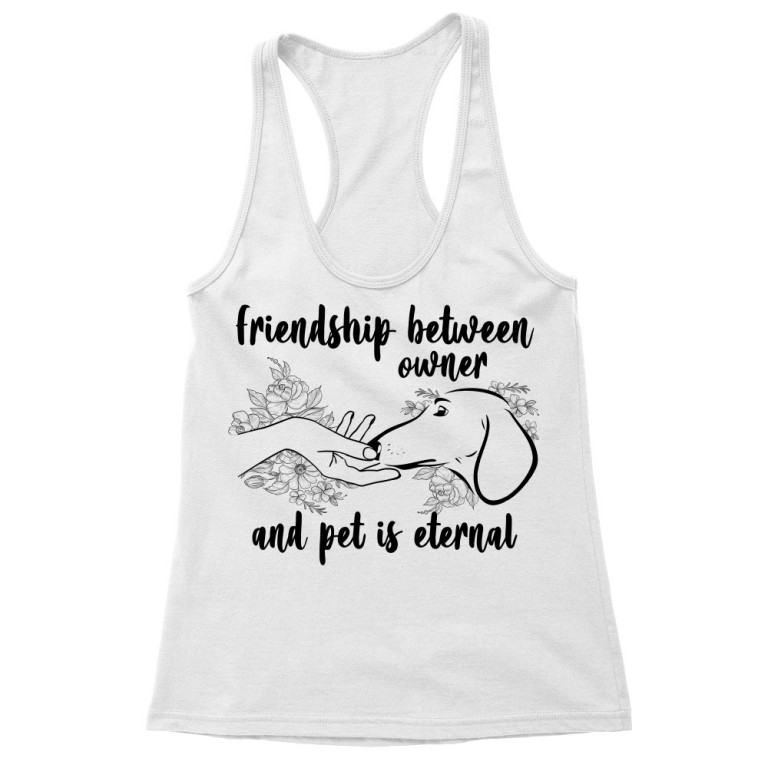Friendship between owner and dachshund
