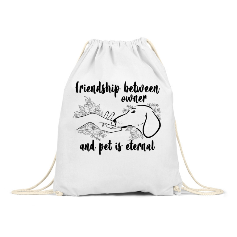 Friendship between owner and dachshund