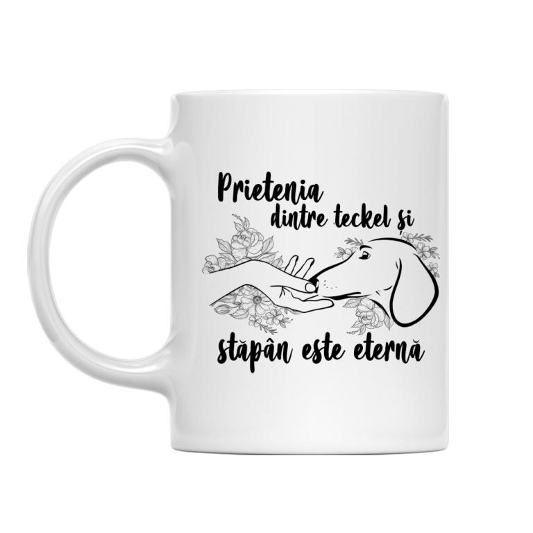 Prietenia dintre teckel și stăpân este eternă