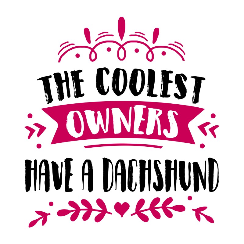 The coolest owners have a dachshund