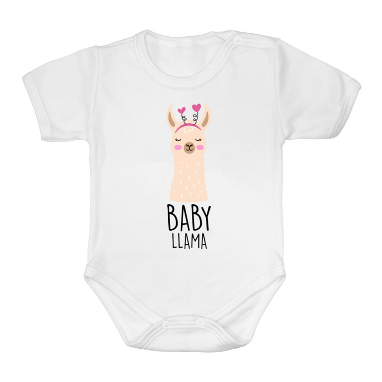 Baby Llama