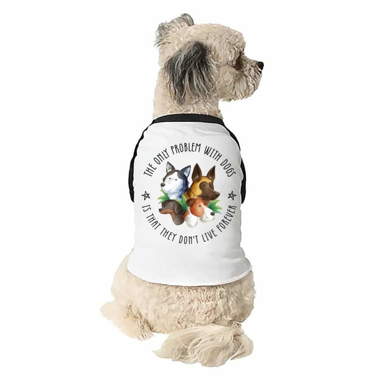 The only problem - dog