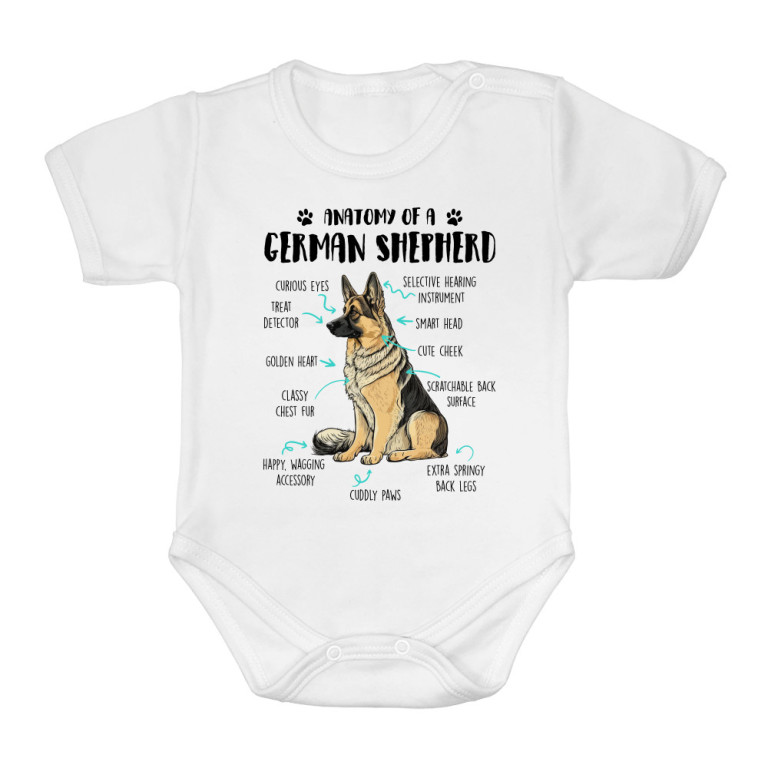 Anatomy of a german shepherd