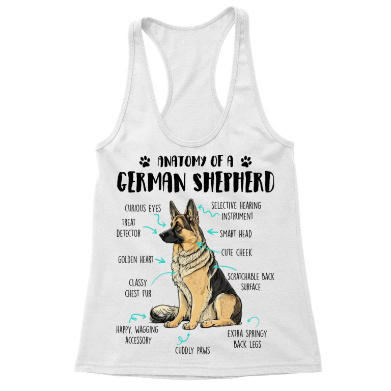 Anatomy of a german shepherd