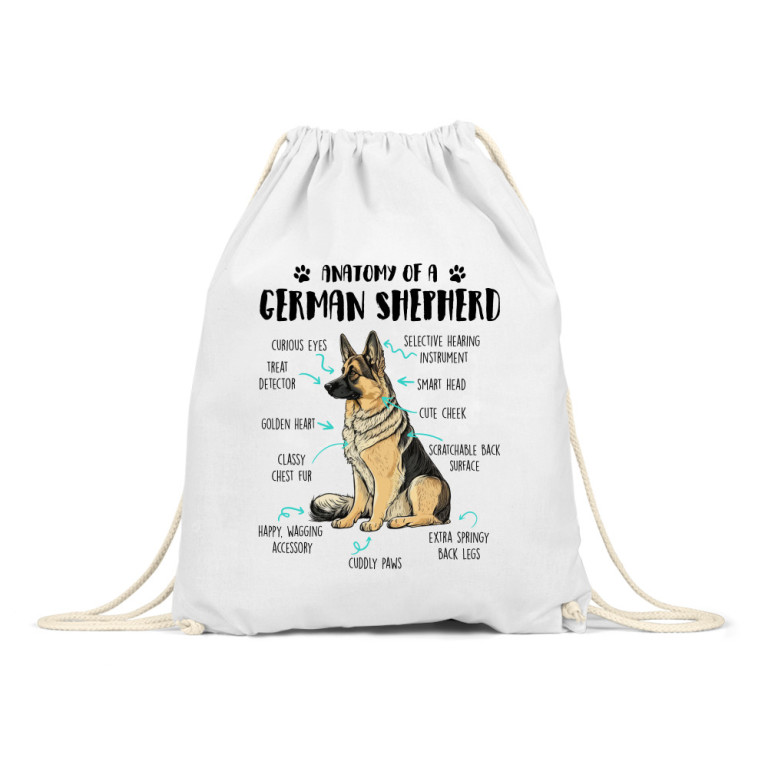 Anatomy of a german shepherd