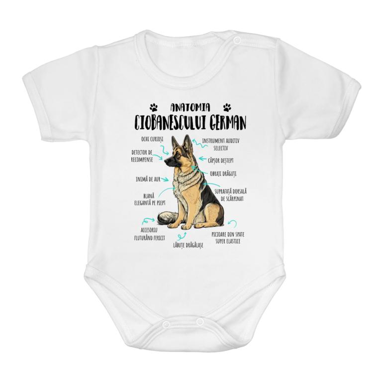 Anatomia ciobănescului german