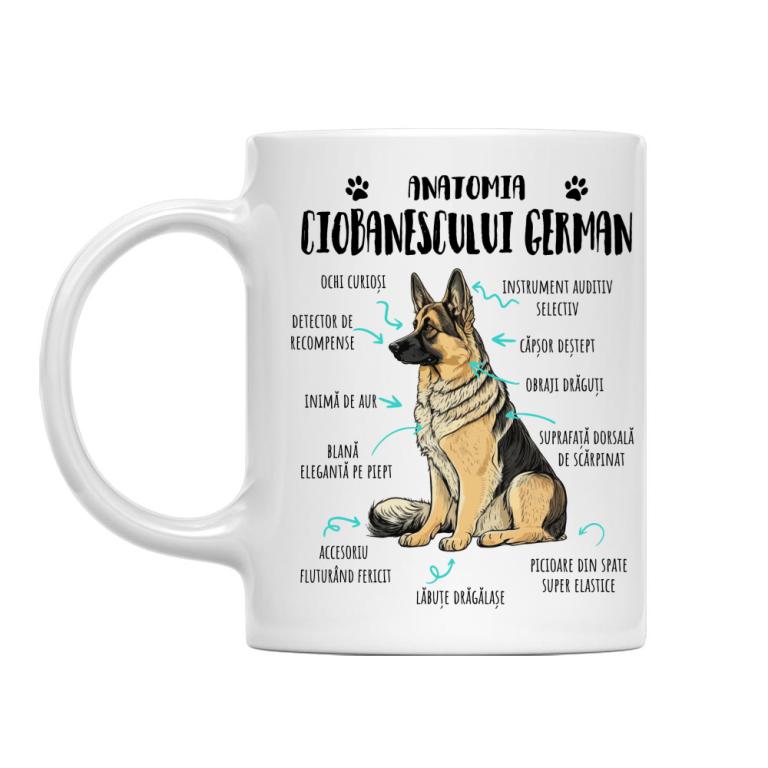 Anatomia ciobănescului german
