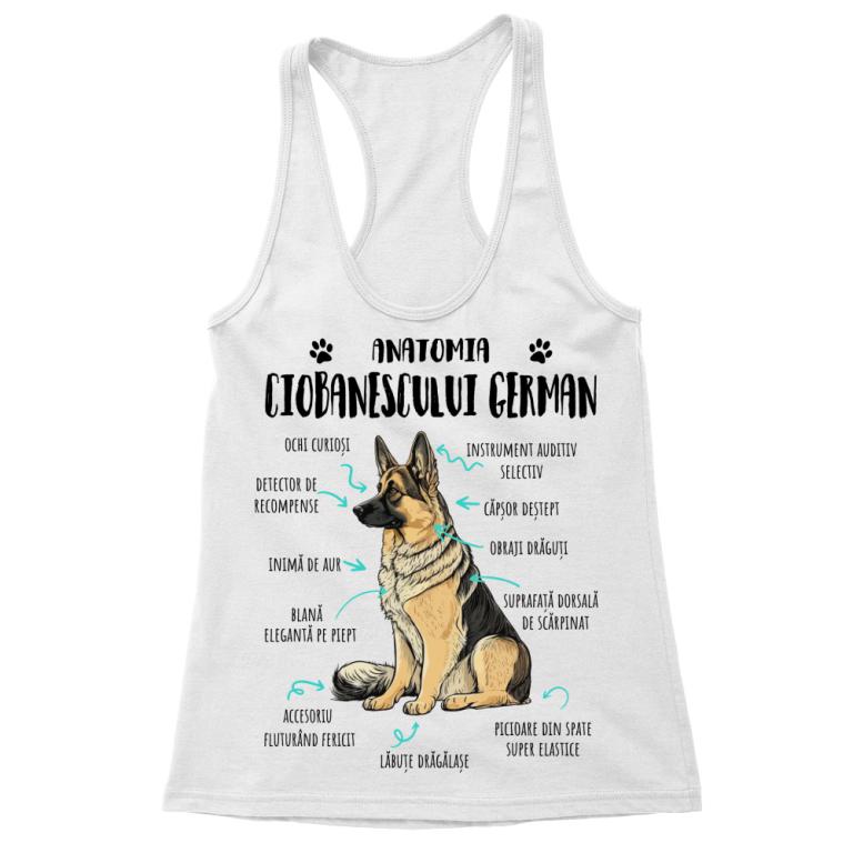 Anatomia ciobănescului german