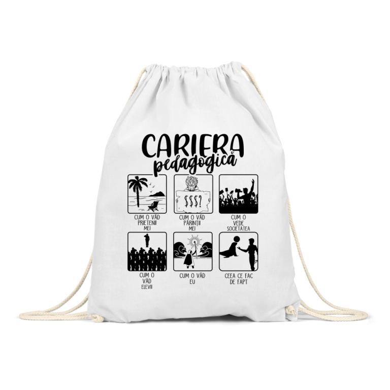 Cariera pedagogică