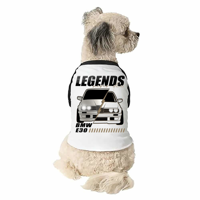 Legends never die - E30
