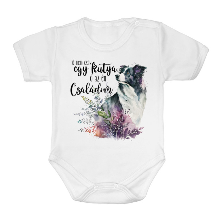 Ő nem csak egy kutya - Border Collie - Baba Body