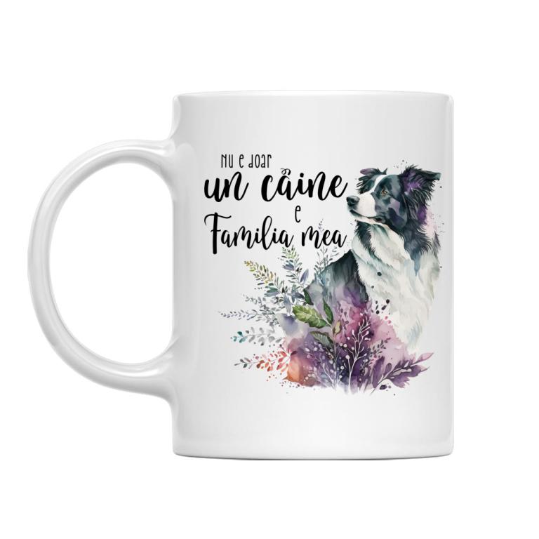 Nu e doar un câine - Border Collie