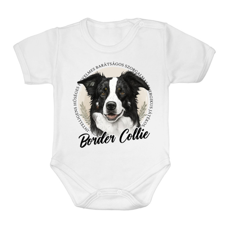 Border Collie Jellemzők - Baba Body