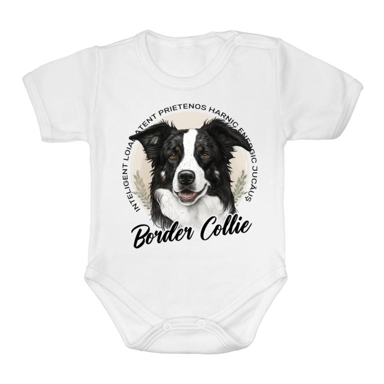 Caracteristicile Border Collie